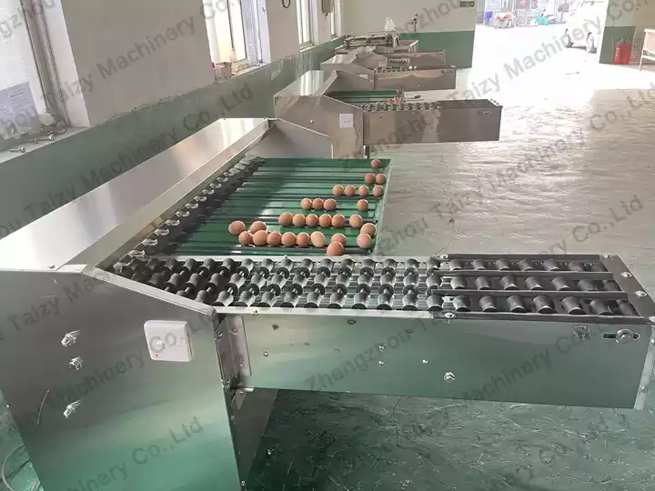 آلة تصنيف البيض