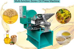 Multi-Function Screw Oil Press Machine