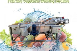 Vegetable And Fruit Washing Machine (3)
