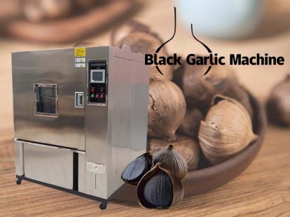 black garlic fermentation machine (2)
