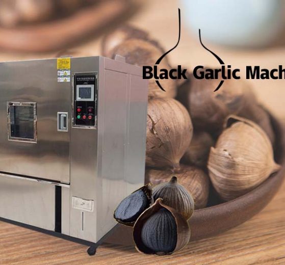 Machine de fermentation d'ail noir (2)