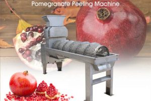Main Picture Of Pomegranate Peeling Machine
