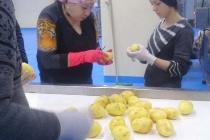 Picking Potatoes