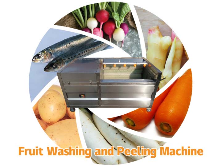 vegetable and fruit washing machine