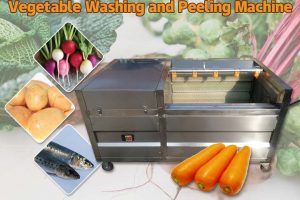 Machine à laver les légumes