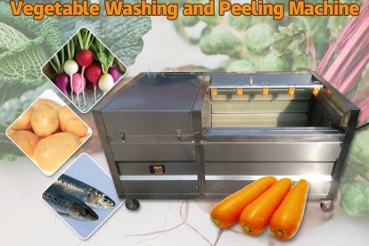 Vegetable Washing Machine