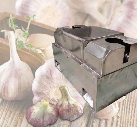 Máquina cortadora de raíz de ajo