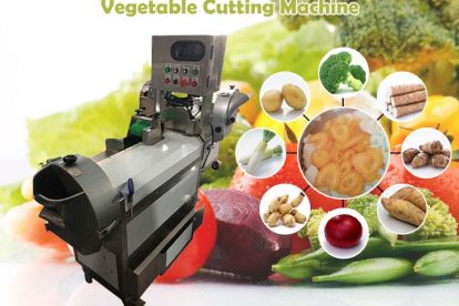 Multi-Function Vegetable Cutting Machine