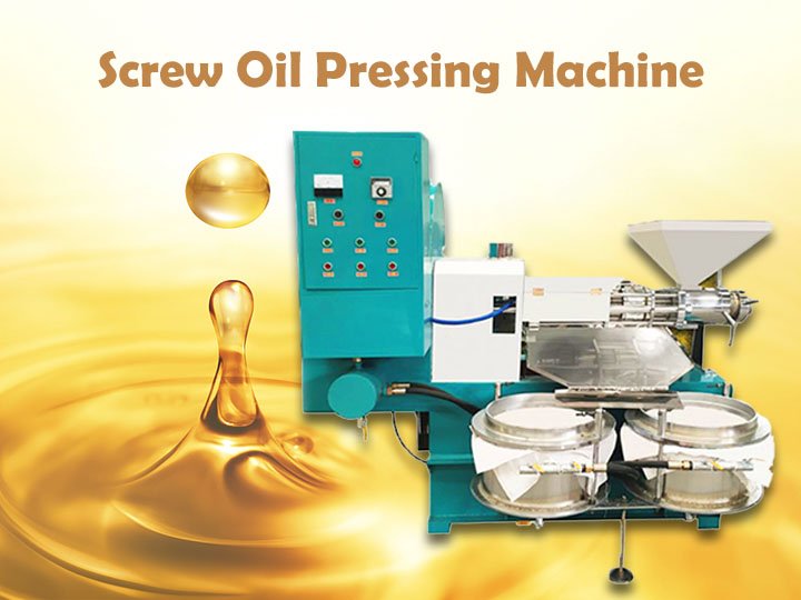 Screw Oil Pressing Machine