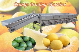 Máquina de classificação laranja