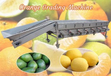Máquina de classificação laranja