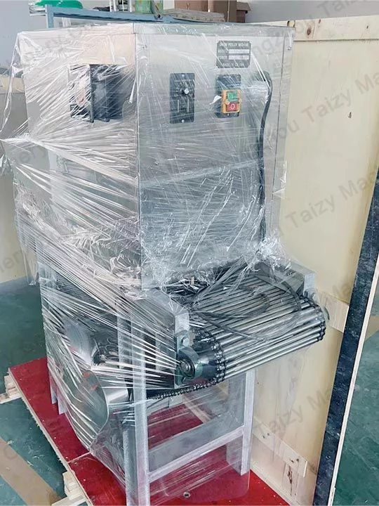 máquina descascadora de cebola enviada para a Austrália