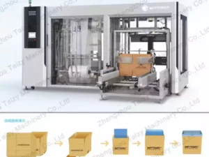 Bagging And Boxing Machine