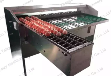 انڈہ سورت کرنے والی مشین برائے فروخت