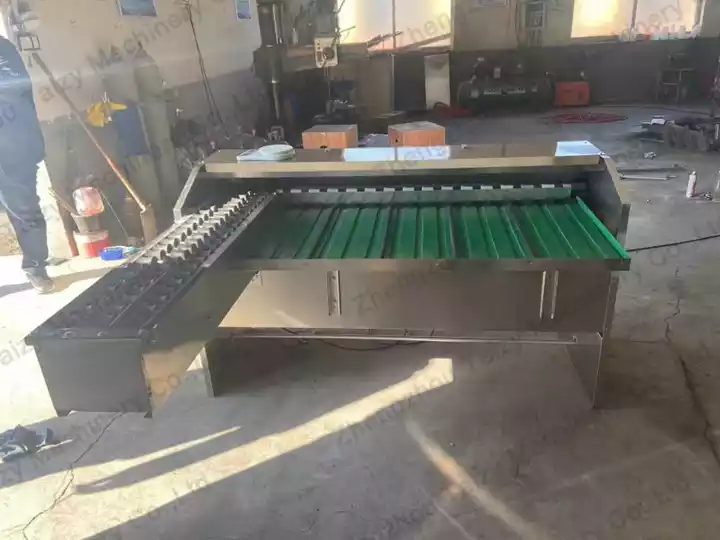 انڈہ دھونے والی مشین انڈے