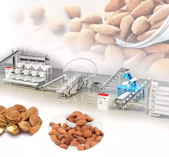 Bahan Baku Untuk Garbling Tempat Pemrosesan Kulit Almond