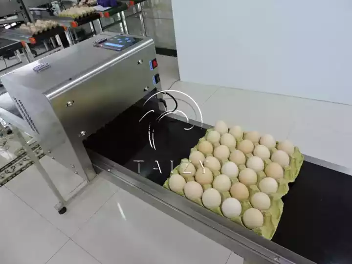 High-Speed Egg Printer Machine | Automatic Egg Marking System 6 Egg Inkjet Printer
