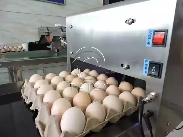 High-Speed Egg Printer Machine | Automatic Egg Marking System 5 Egg Marking Machine