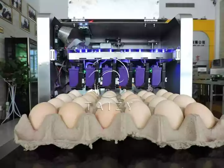 High-Speed Egg Printer Machine | Automatic Egg Marking System 4 Egg Printer Machine