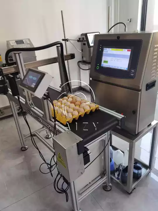 High-Speed Egg Printer Machine | Automatic Egg Marking System 2 Egg Printing Machine