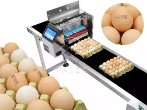 Food Grade Egg Printer