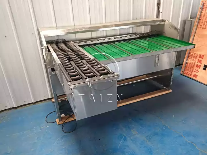 Automatic Egg Sorting Machine Shipped To Peru 2 Egg Collection And Grading Machine