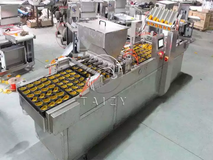 Commercial Cake Batter Depositor | Sponge Cake Filling Machine 12 Upgraded Cake Batter Depositor