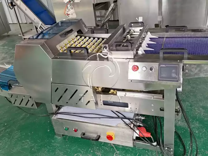 Automatic Egg Packing Machine | Poultry Farm Egg Packer 6 Automatic Egg Packer Machine