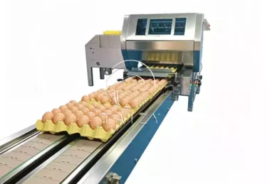 Automatic Egg Packing Machine