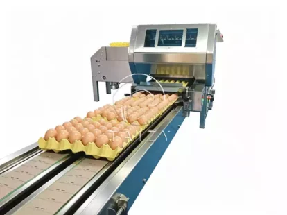 Automatic Egg Packing Machine