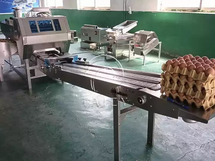 Automatic Egg Packing Machine | Poultry Farm Egg Packer 2 Automatic Egg Tray Loader