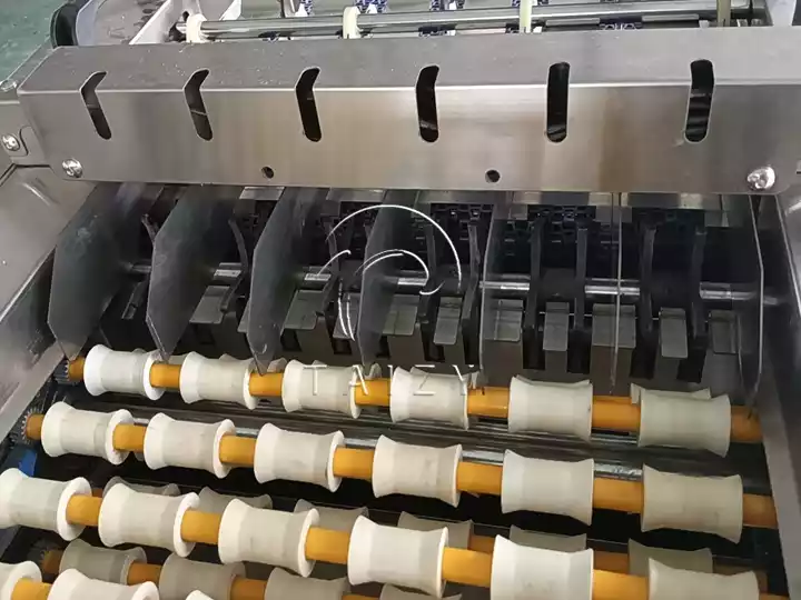 Automatic Egg Packing Machine | Poultry Farm Egg Packer 5 Egg Conveyor System