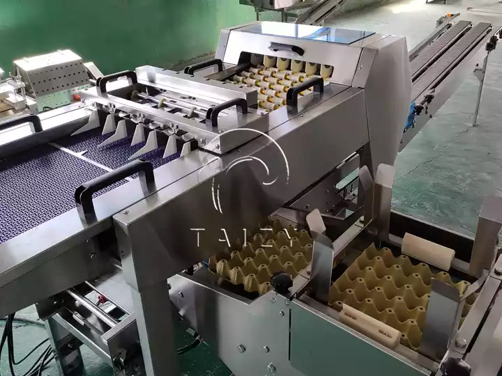 Automatic Egg Packing Machine | Poultry Farm Egg Packer 8 Egg Tray Loading Machine