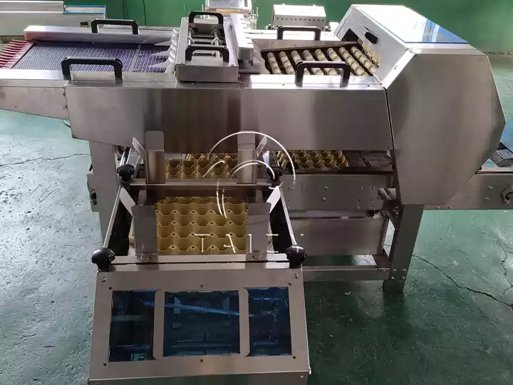 Automatic Egg Packing Machine | Poultry Farm Egg Packer 9 Farm Egg Packer Machine