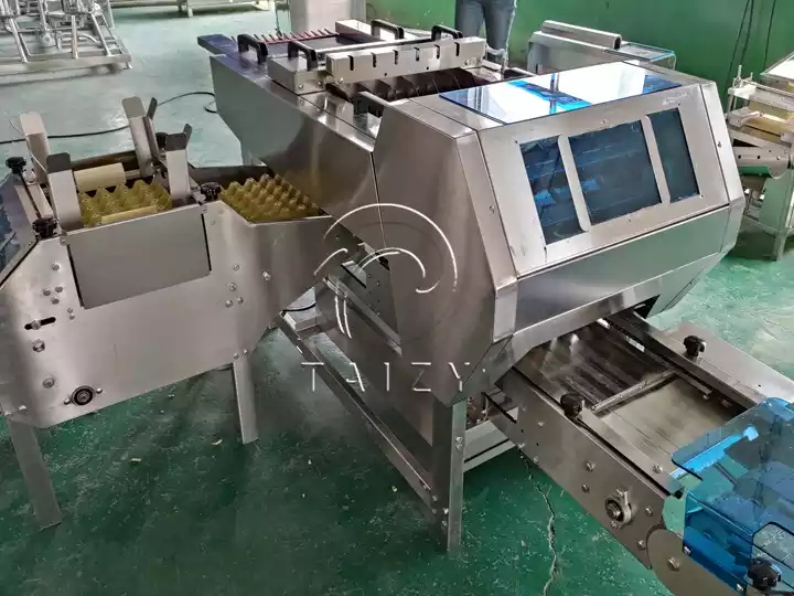 Automatic Egg Packing Machine | Poultry Farm Egg Packer 7 Poultry Egg Packing Machine