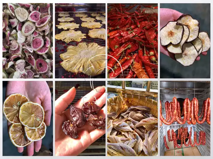 Multi-Purpose Seafood Fish Dryer | Hot Air &Amp; Heat Pump Drying Machine 2 Drying Machine Various Dried Products