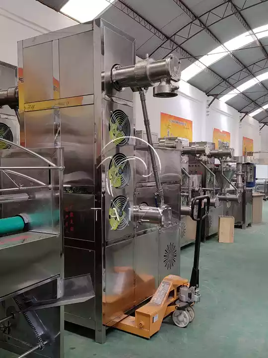 What To Know Before Investing In A Vermicelli Processing Line? 2 Stainless Steel Vermicelli Extruder