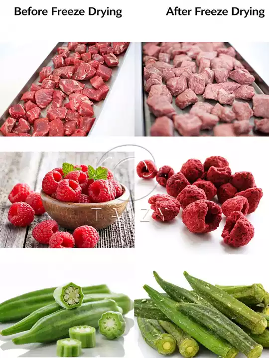 Before And After Freeze Drying Comparison Of Meat, Raspberry And Okra