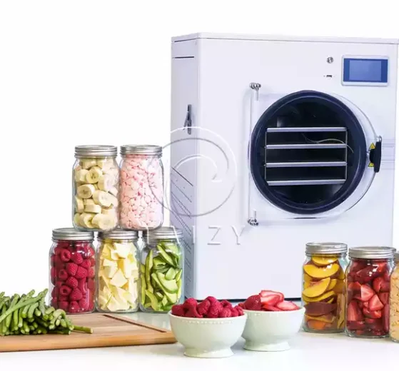 Home Vacuum Freeze Dryer Machine