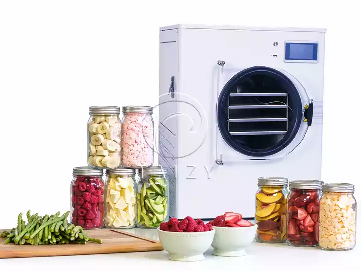 Home Vacuum Freeze Dryer Machine