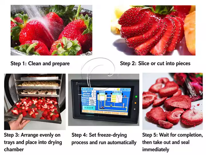 Operation Steps Of Vacuum Freeze Dryer